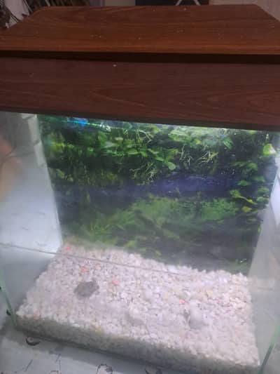 aquariums brand new