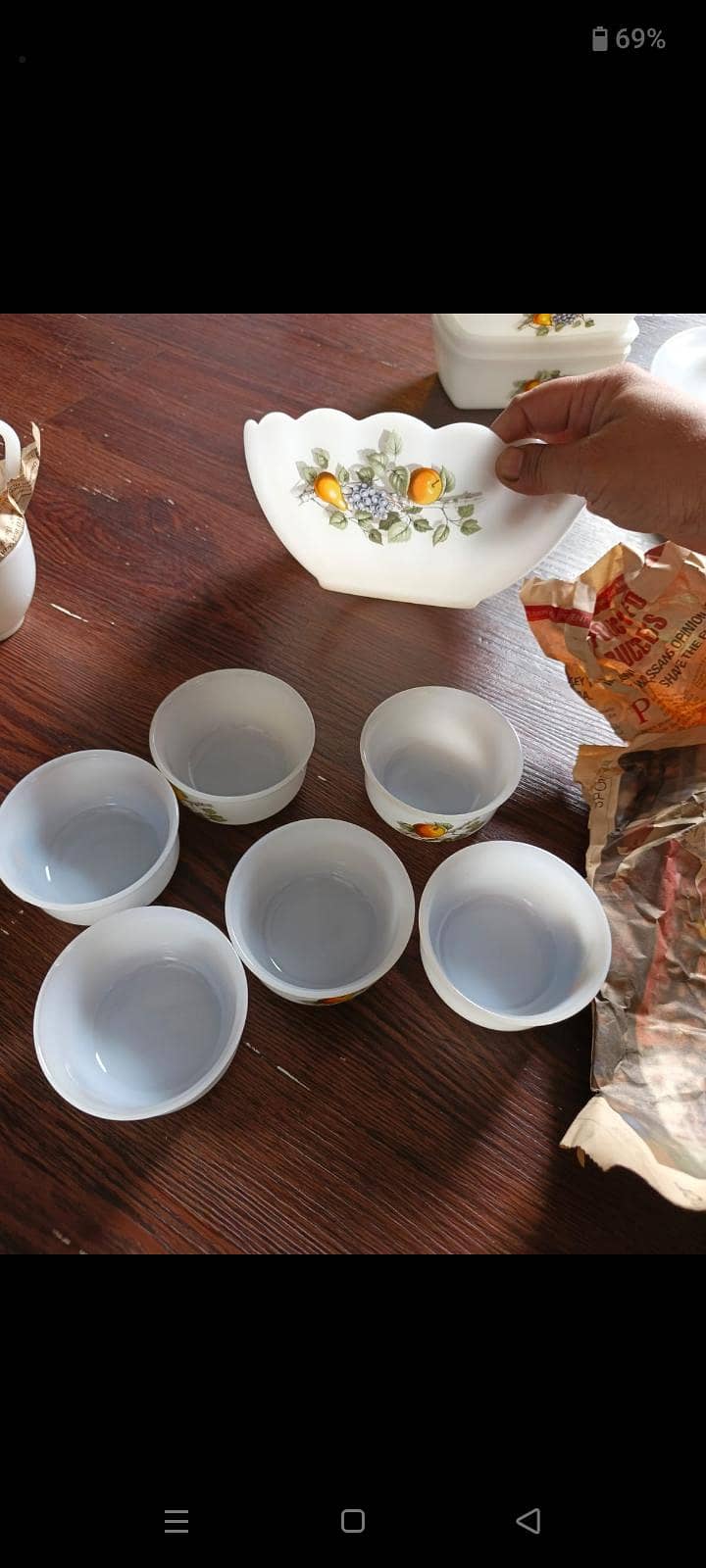 Arcopal Dinner Set 5