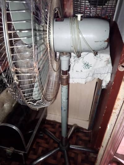 fan for sale