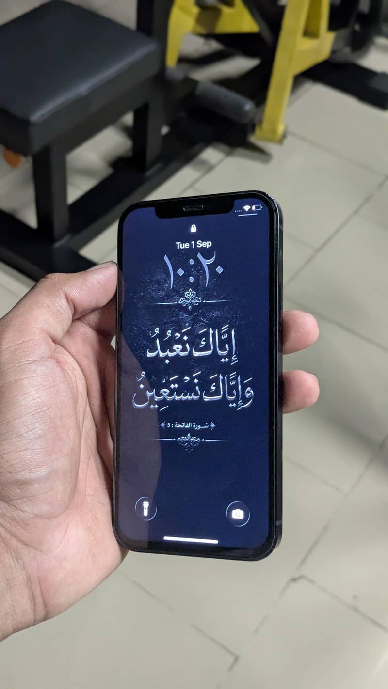 Apple iPhone 12 1