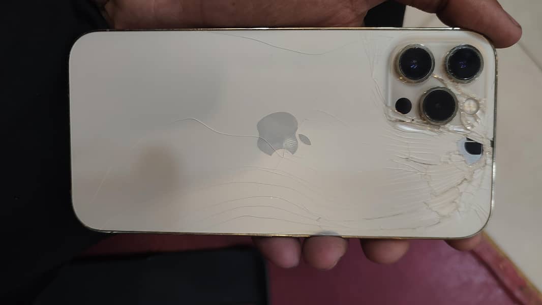 Apple iPhone 12 Pro Max 1