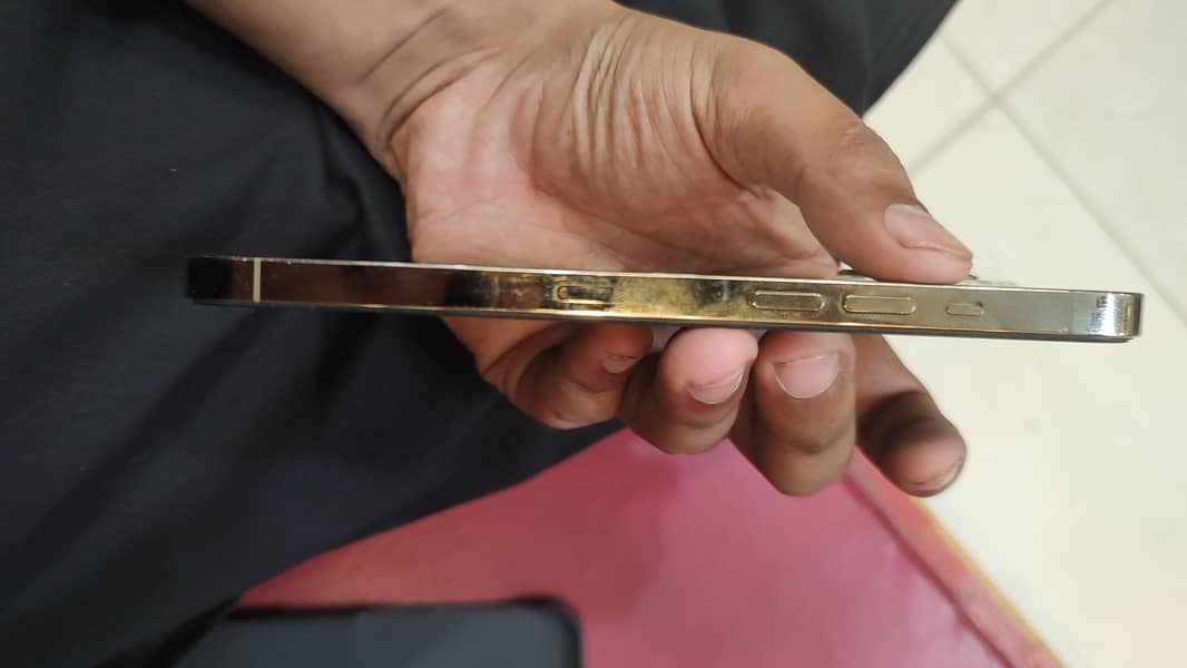 Apple iPhone 12 Pro Max 2