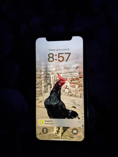 Apple iPhone XR