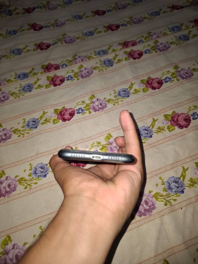 Apple iPhone 11 0
