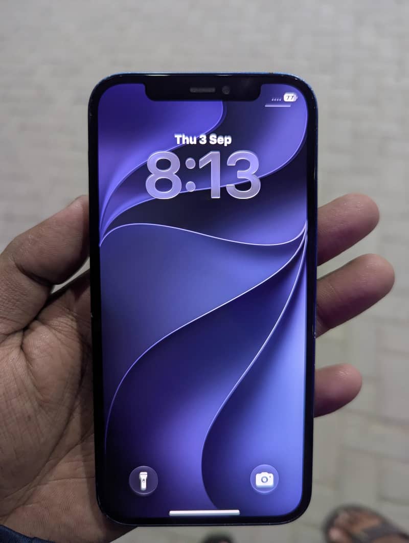 Apple iPhone 12 0