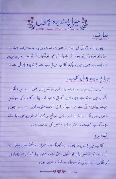 Hand writing assignment