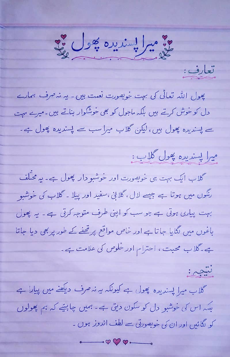 Hand writing assignment 0