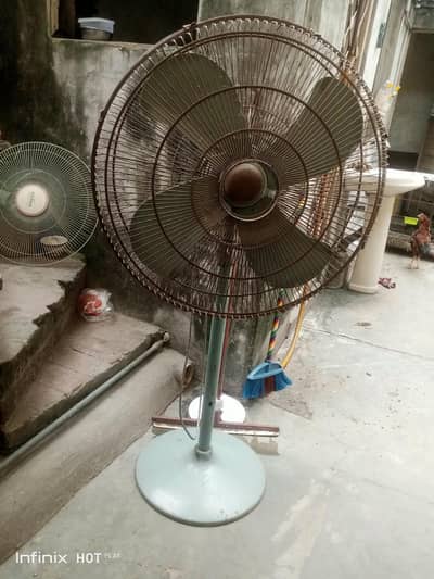 royal fan for sale