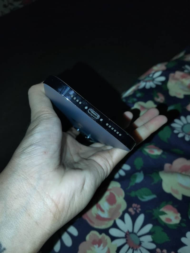 Apple iPhone 12 Pro Max 1