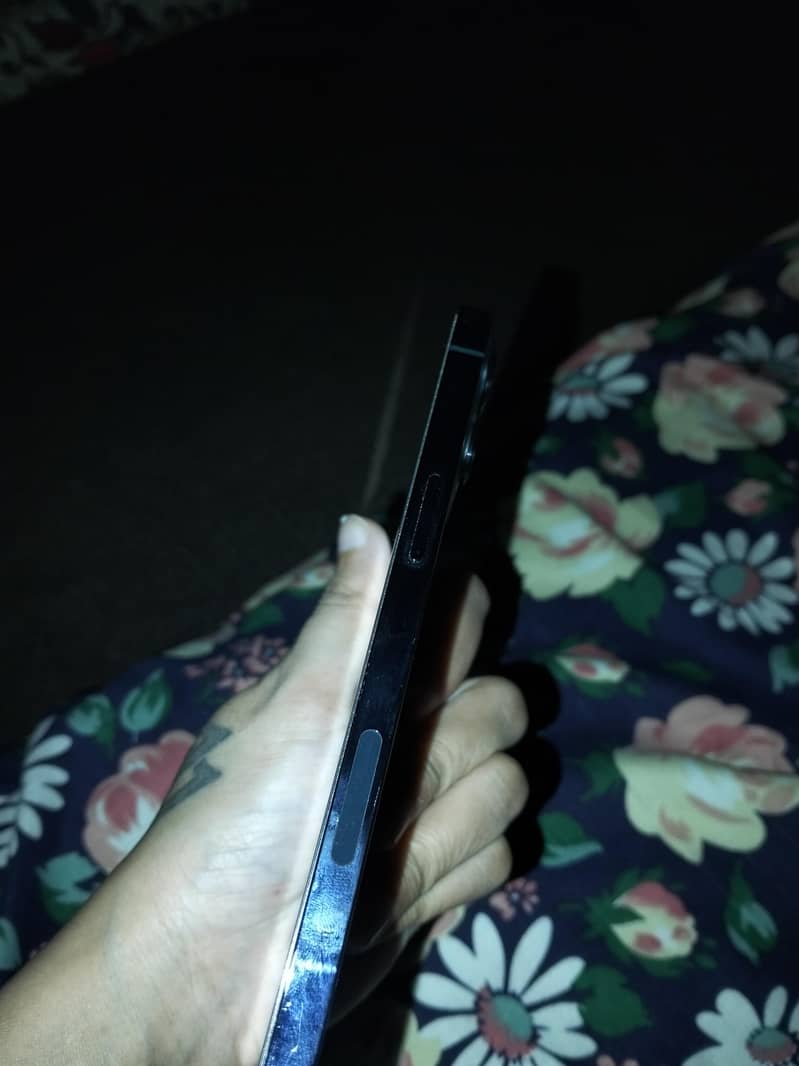 Apple iPhone 12 Pro Max 2