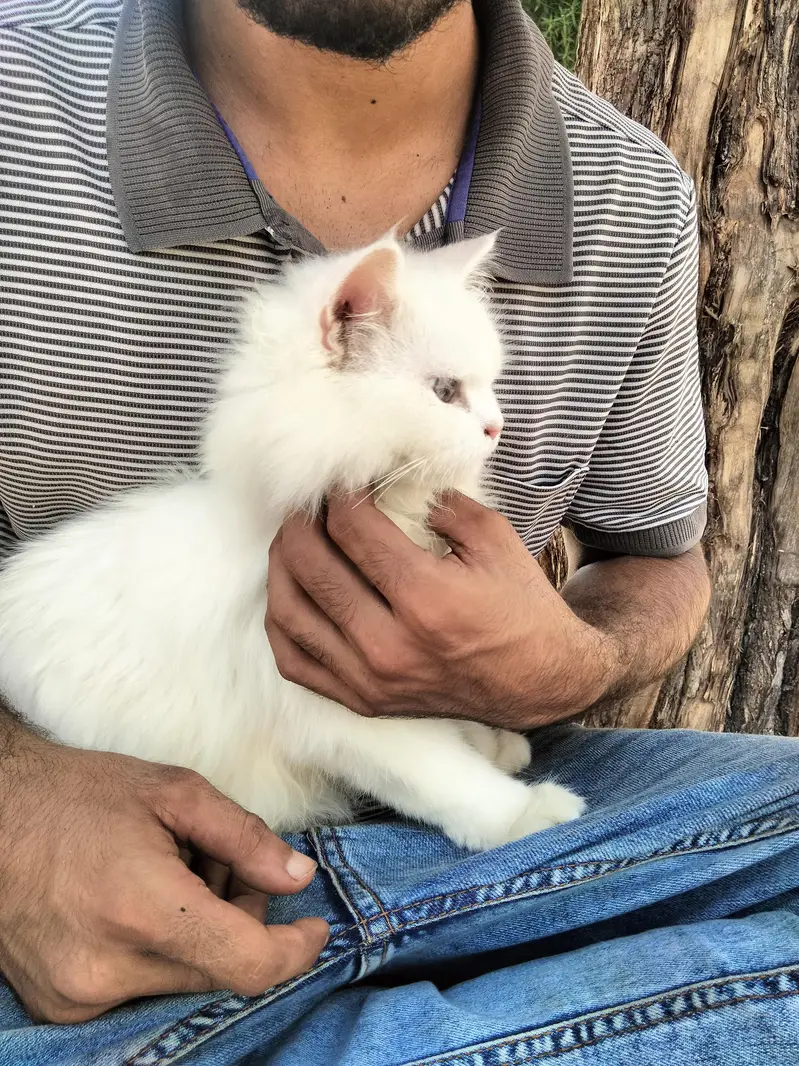 urgent sale — photo 3