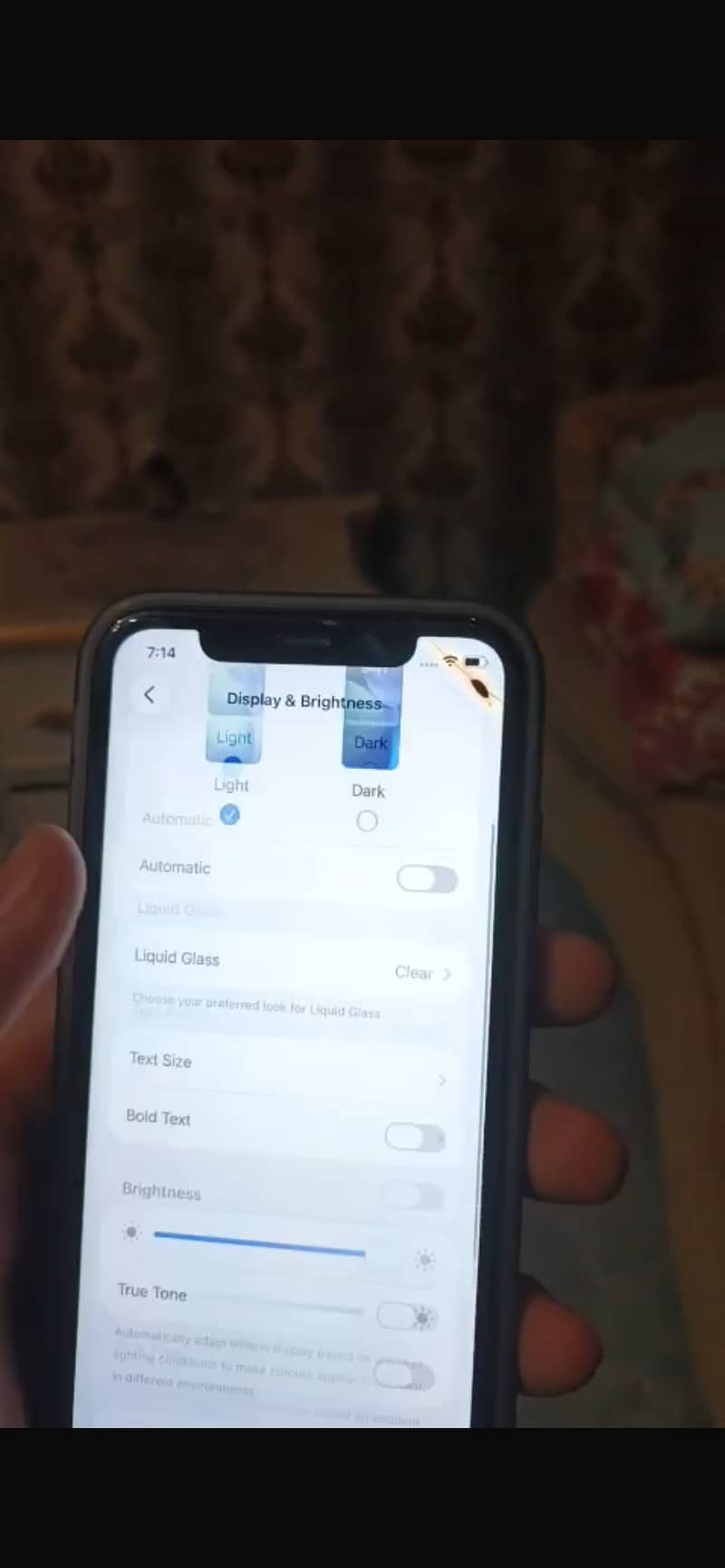Apple iPhone 11 0