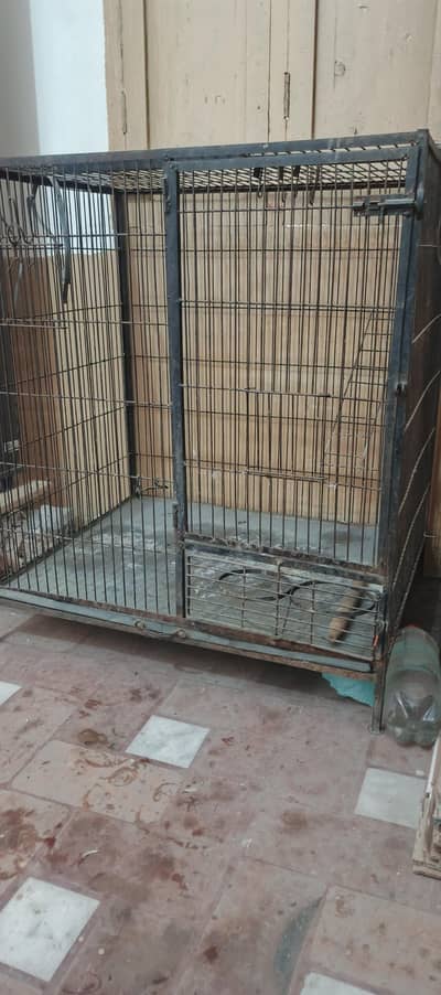Cage For Sale