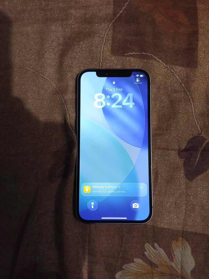 Apple iPhone 12 0