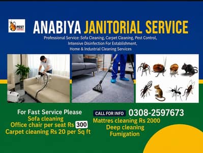Deep Cleaning Sofa/Carpet Cleaning/Mattres Cleaning in all karachi
