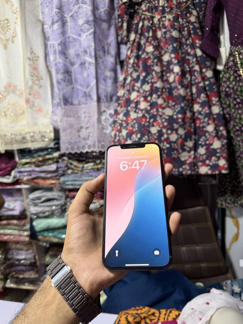 Apple iPhone 12 Pro Max 1