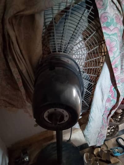 essa pedestal fan