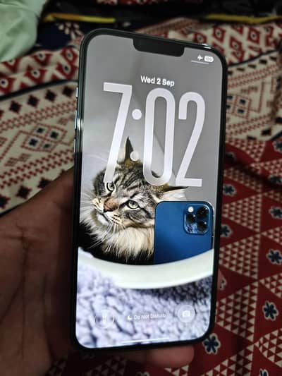 Apple iPhone 13 Pro Max