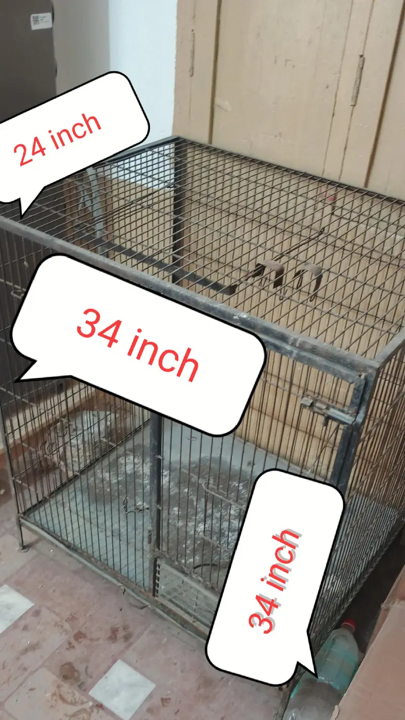 Cage For Sale — photo 6
