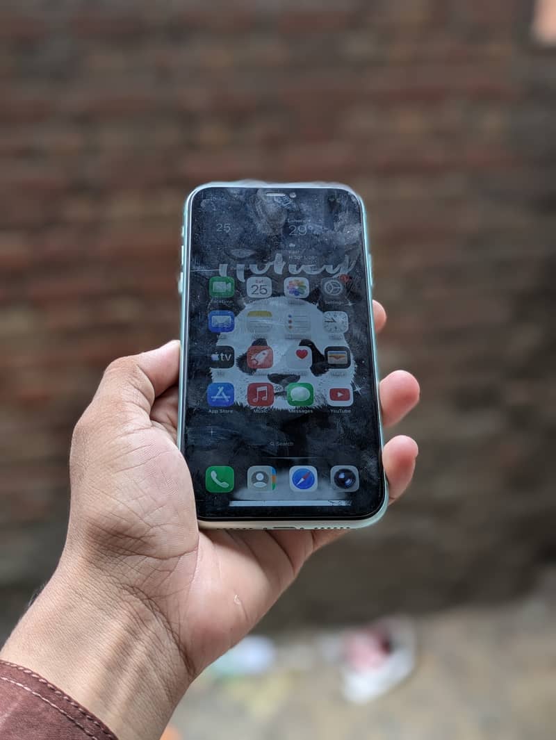 Apple iPhone 11 0