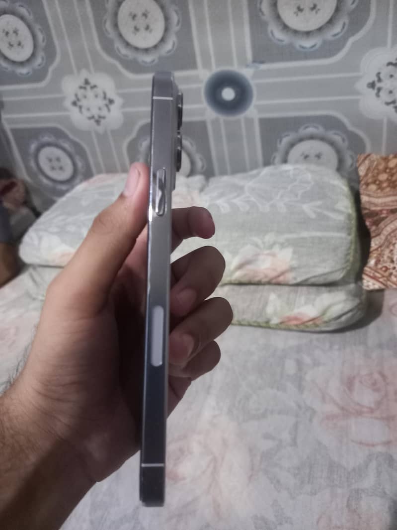 Apple iPhone 13 Pro Max 1