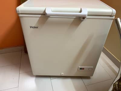 single door deepfreeze