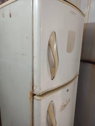 refrigerator 03004478543