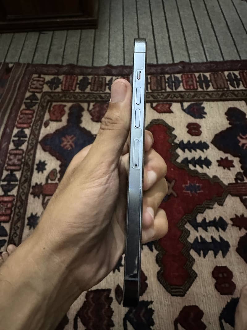 Apple iPhone 13 Pro Max 1