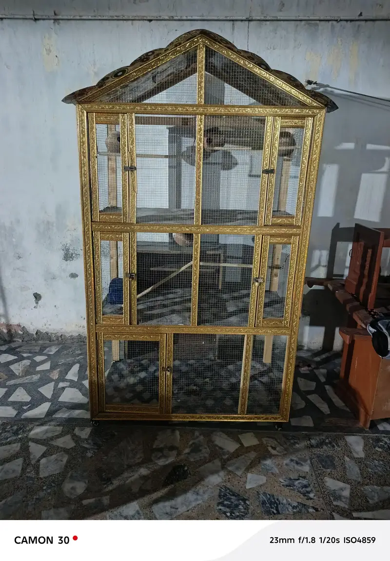 Birds cage