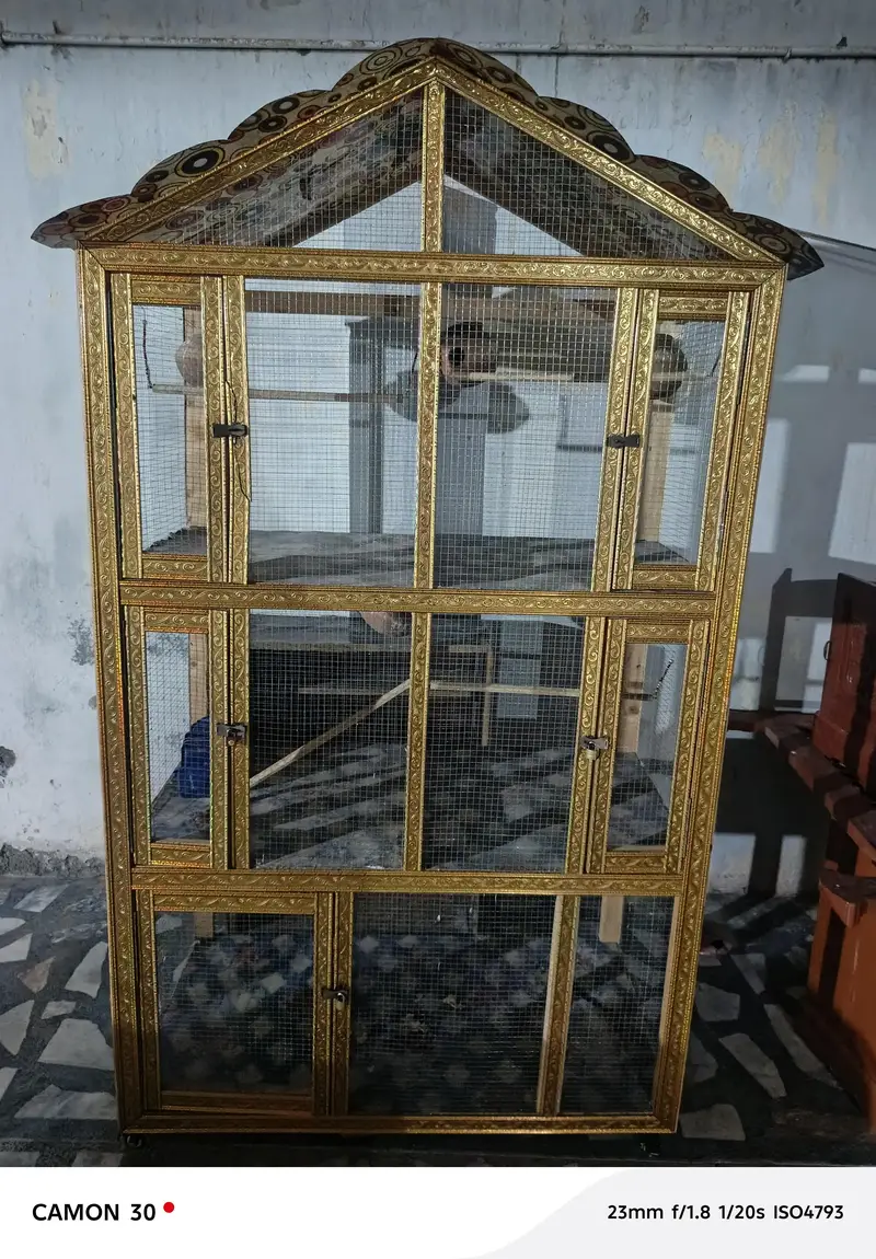 Birds cage — photo 2