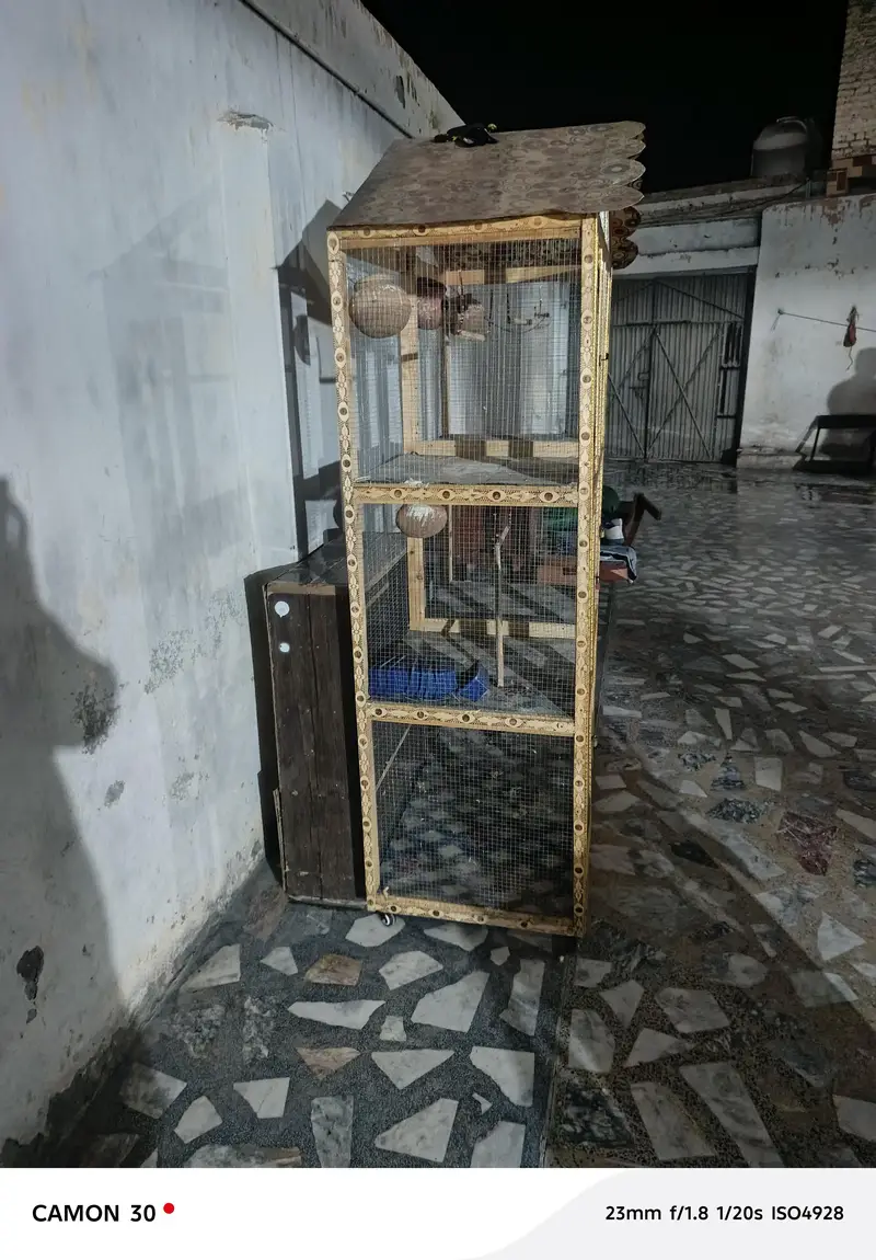 Birds cage — photo 3