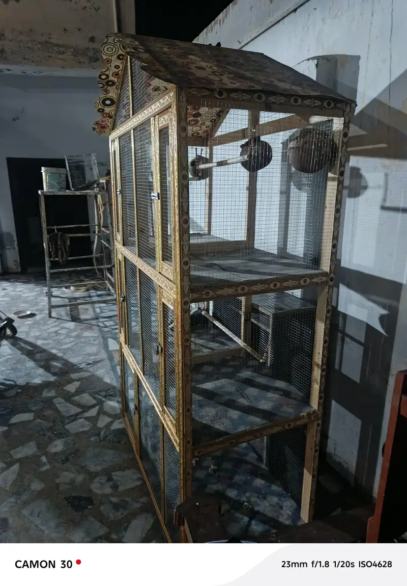 Birds cage — photo 4