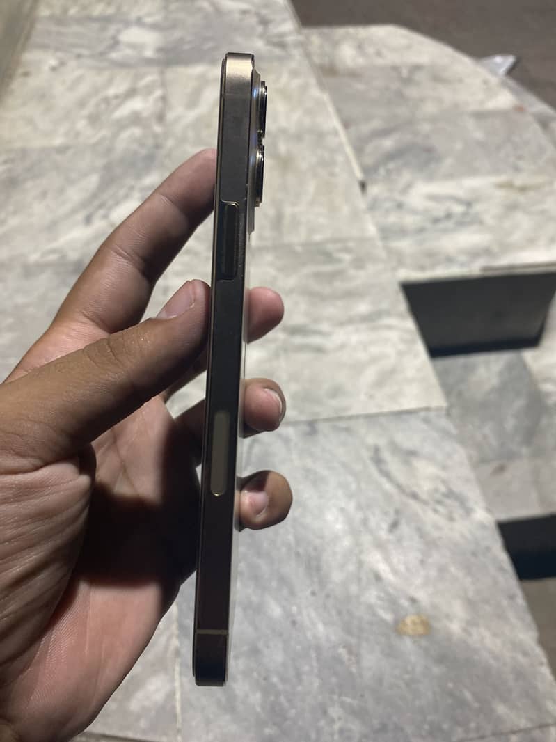 Apple iPhone 13 Pro Max 1