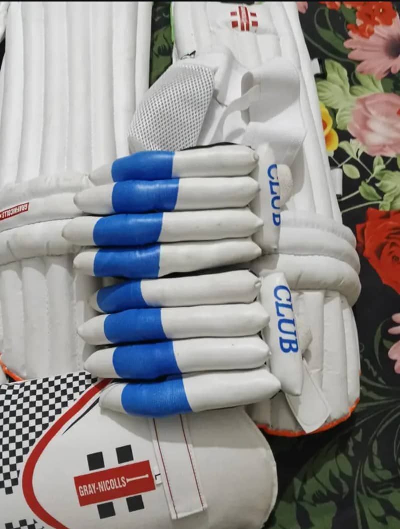 cricket kit 2