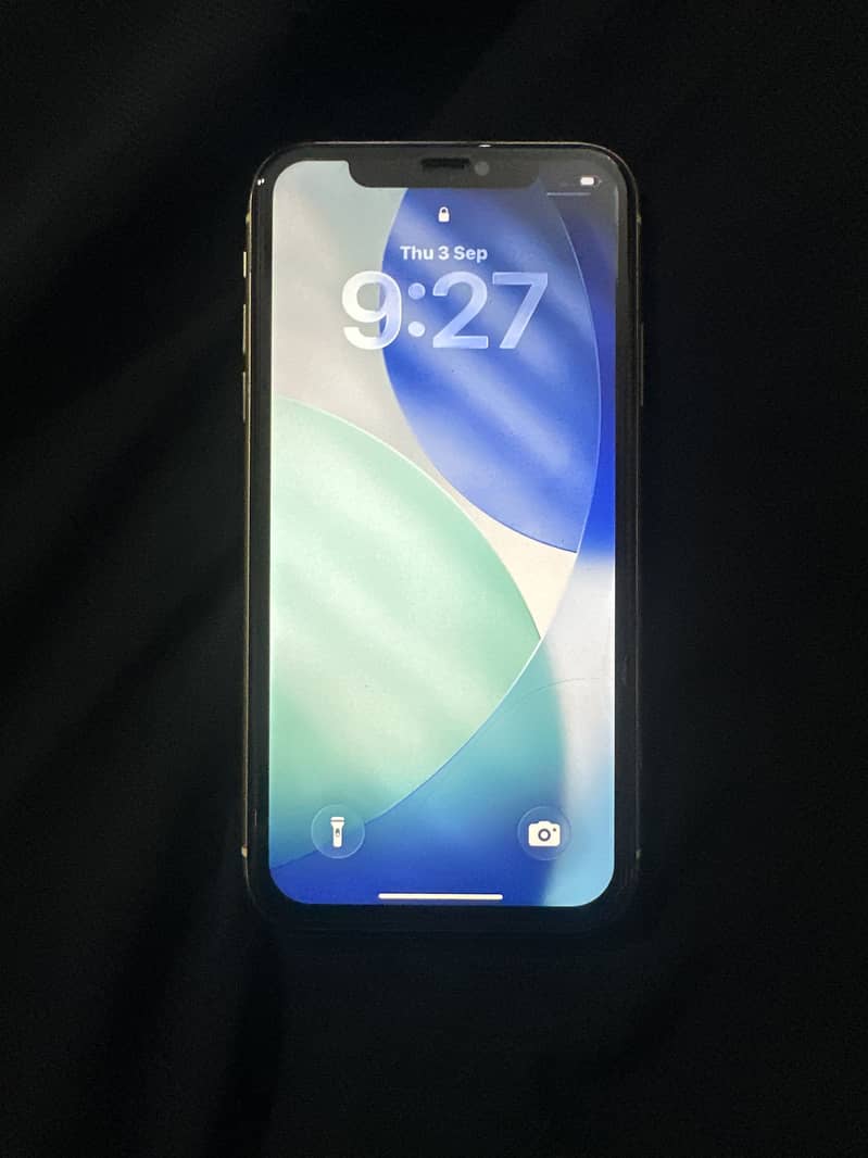 Apple iPhone 11 0