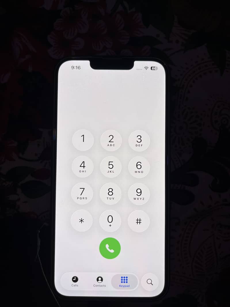 Apple iPhone 13 0