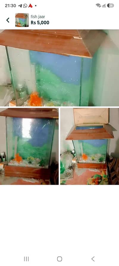 fish jaar