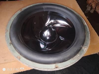 12 inch Woofer 4 Coil