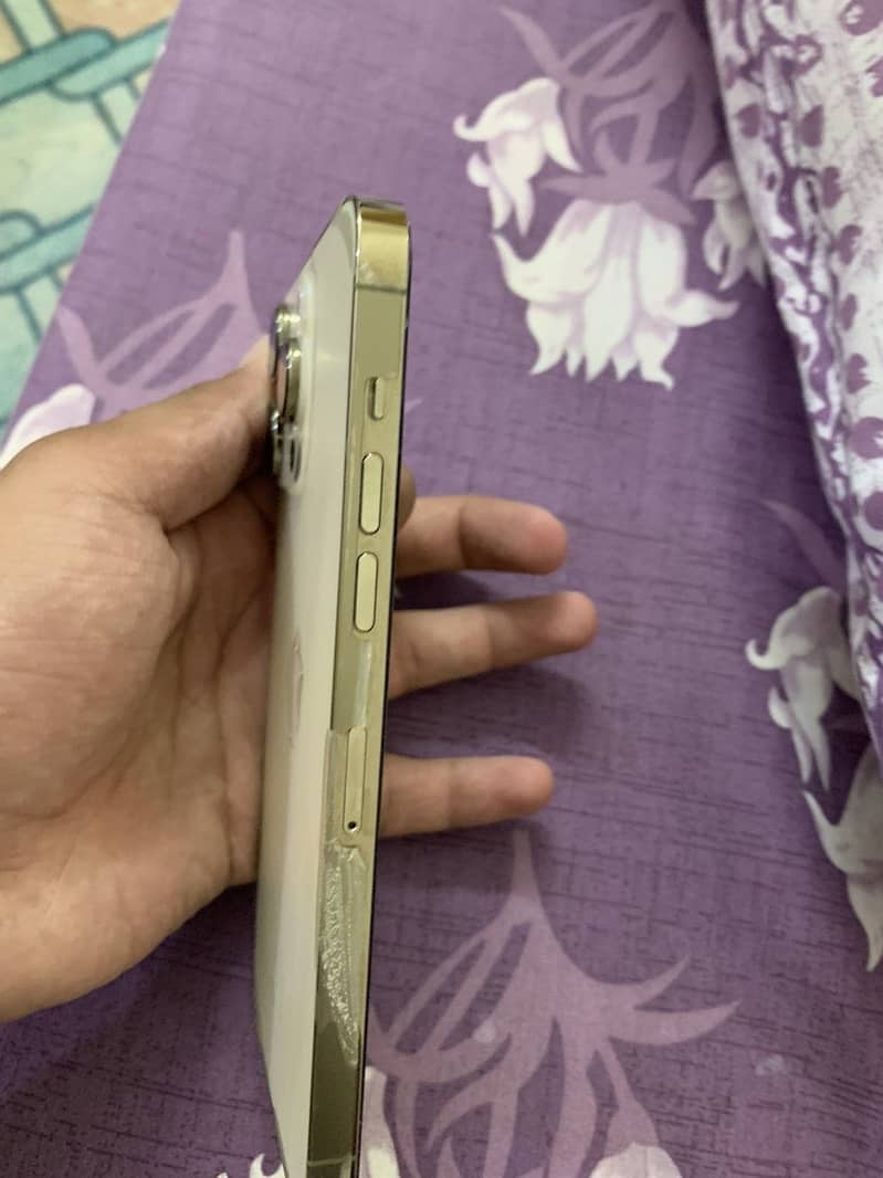 Apple iPhone 14 Pro Max 1