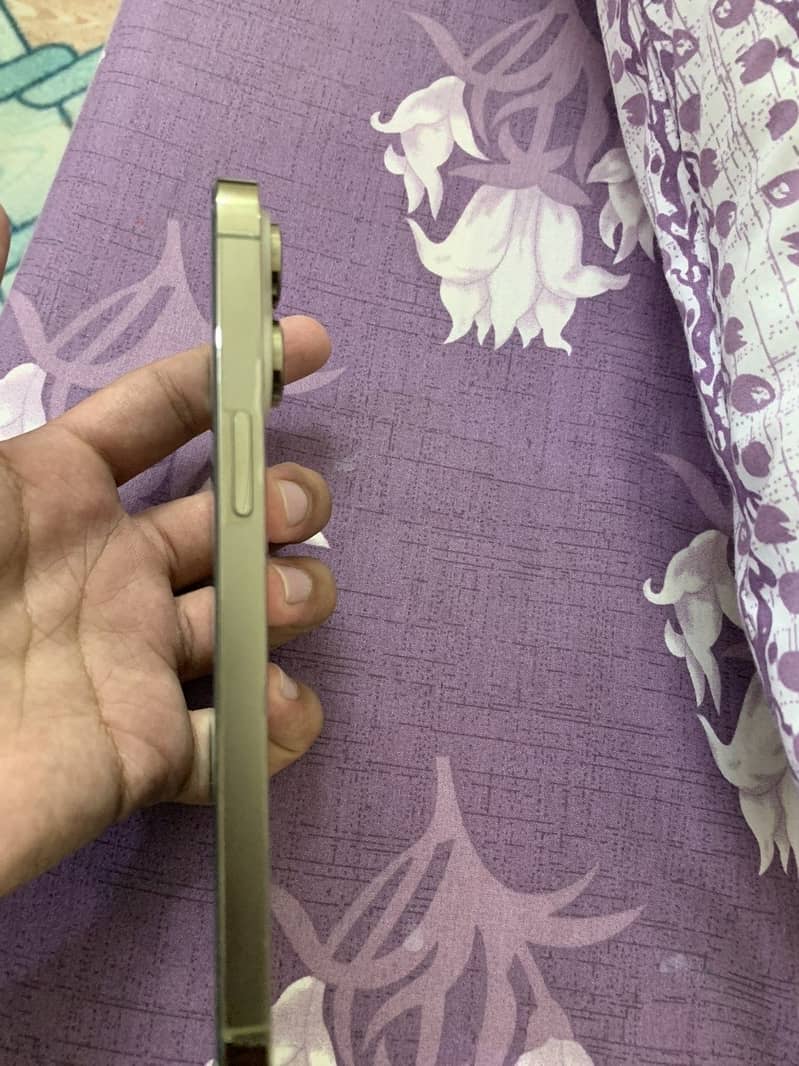 Apple iPhone 14 Pro Max 4