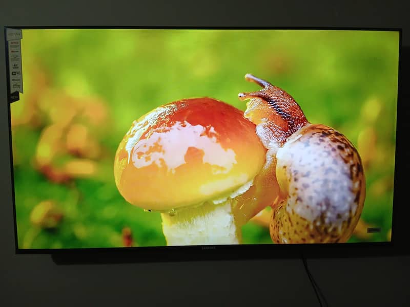 Vidaa 55 inch 4K UHD Boderless 1
