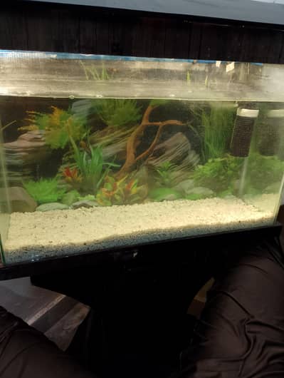 Aquarium