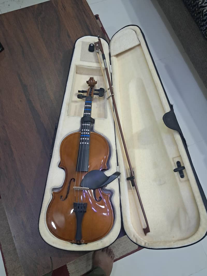 violen 3