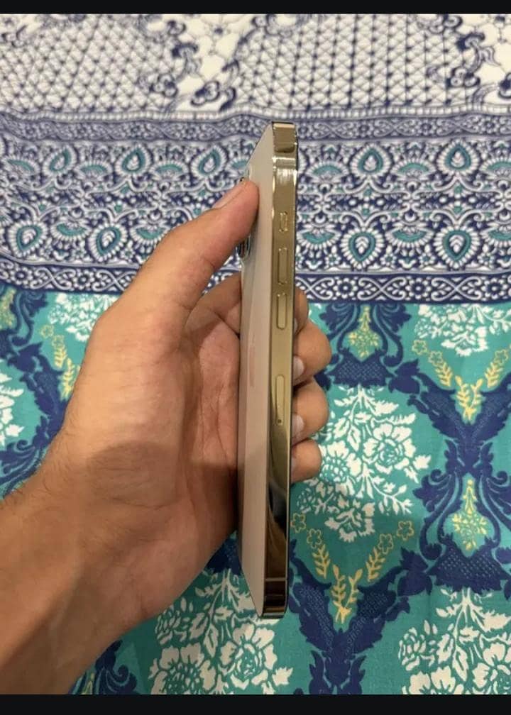 Apple iPhone 12 Pro Max 2