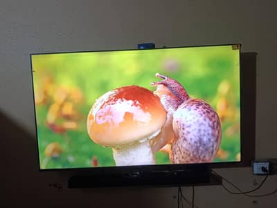 tcl 58 inch p635