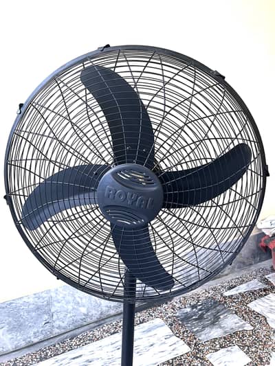 Royal Pedestal Fan 24” - For Sale