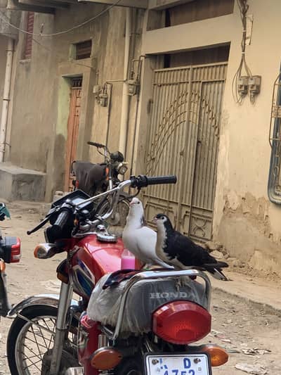 Honda cg 125 new tyre zero meter installed hai service Kay