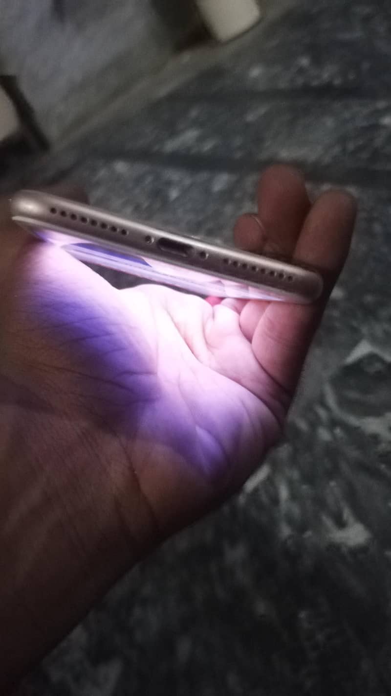 Apple iPhone 8 Plus 3