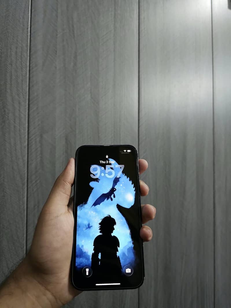 Apple iPhone 13 1