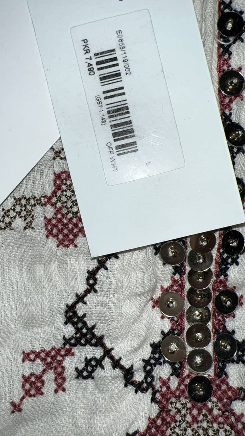 Ethnc embroided kurta 0